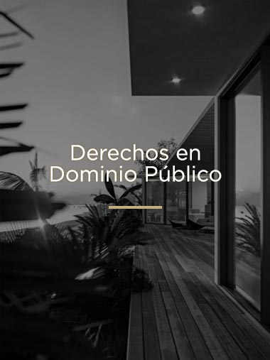 Dominio Publico